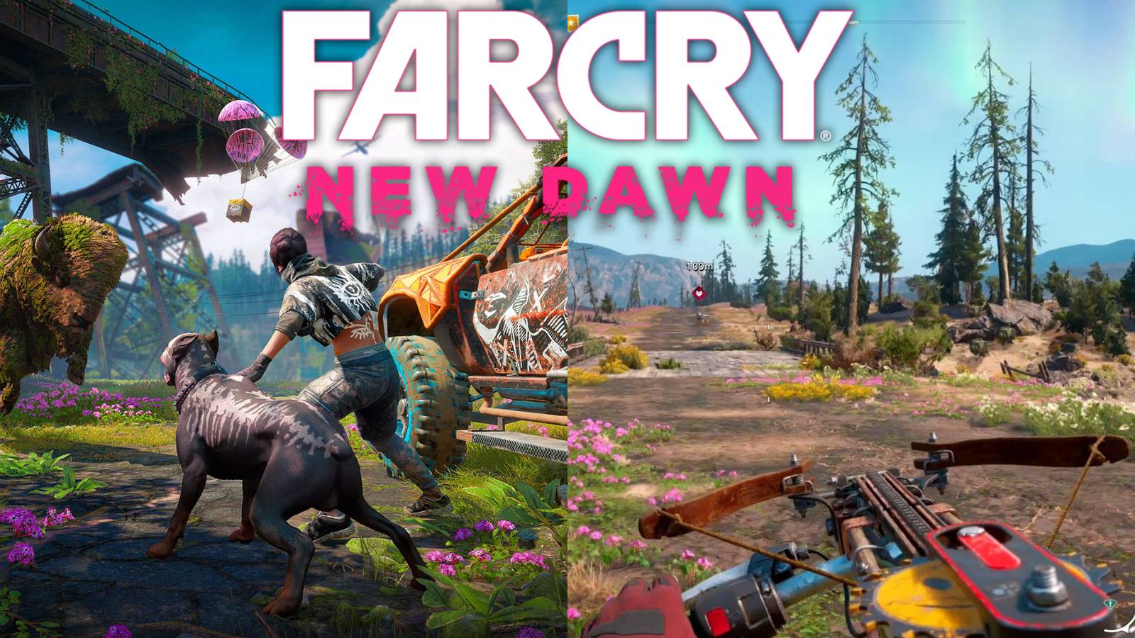 New Dawn Best Weapons