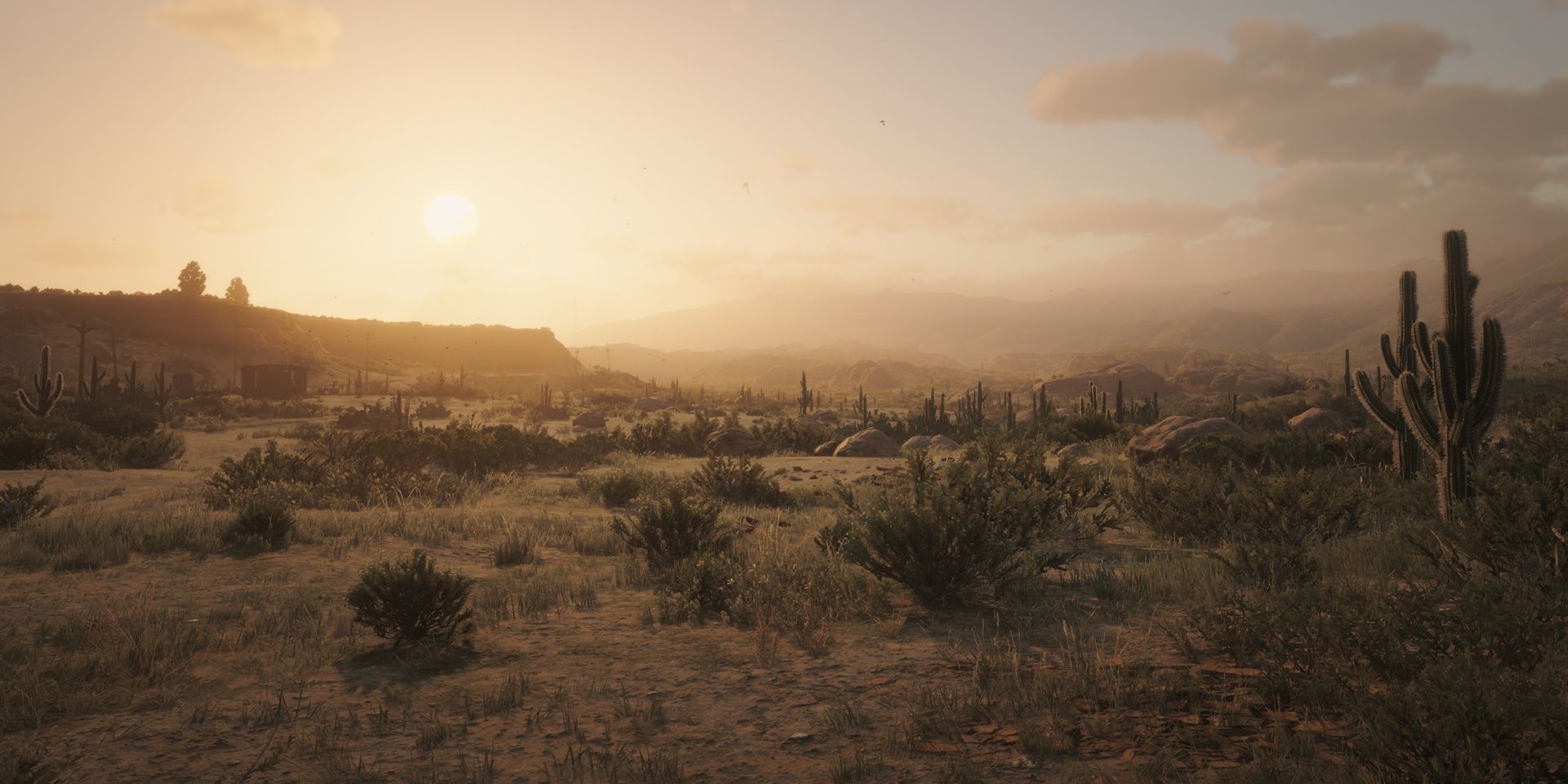 Red Dead Redemption: Everything Need To New Austin