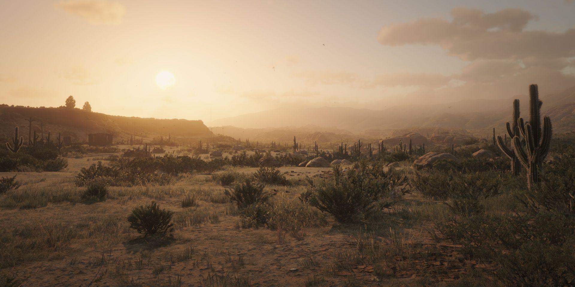 New Austin, Red Dead Wiki