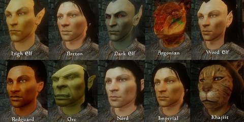 Oblivion Character Overhaul mod for Elder Scrolls 4 Oblivion