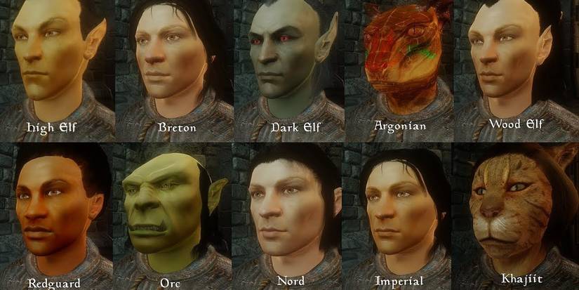 Oblivion Character Overhaul mod for Elder Scrolls 4 Oblivion