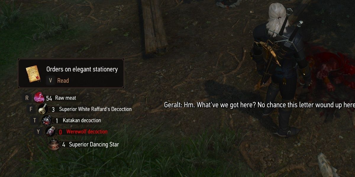 witcher 3 quests in order
