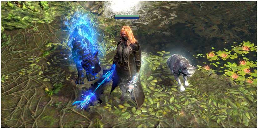 Path Of Exile Scion With Summoned Animals In A Slayer Build