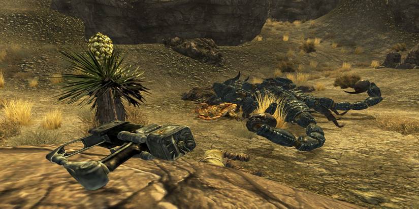 Fallout New Vegas Pistol Packing Lazer Pistol Near a Cactus and a Pile of Dead Radscorpions