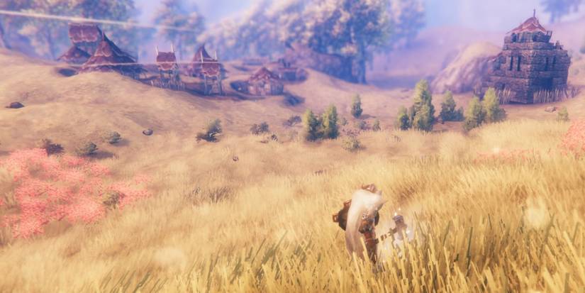 Surviving the Plains of Valheim