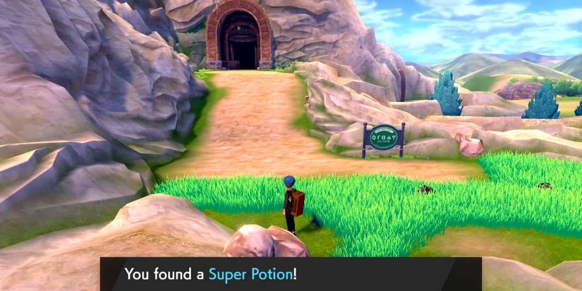 Pokemon_Sword_Shield_Heavy Duty Boots