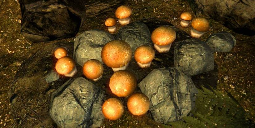 Imp Stools in Skyrim