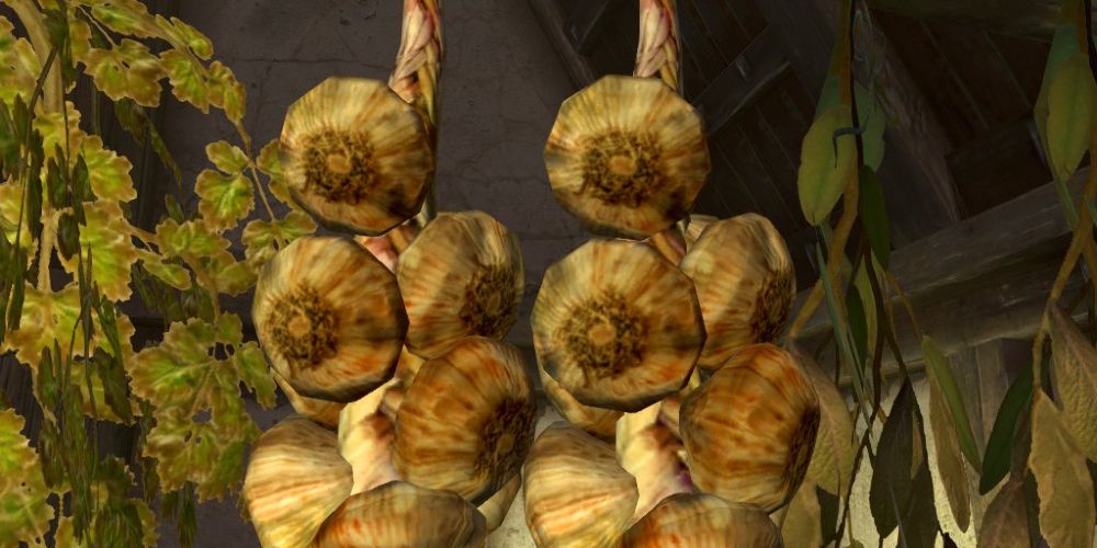 Garlic braids in Skyrim