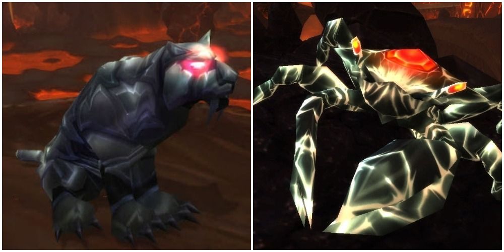 Skarr Karkin Rarest Obtainable Hunter Pets Shadowlands World of Warcraft