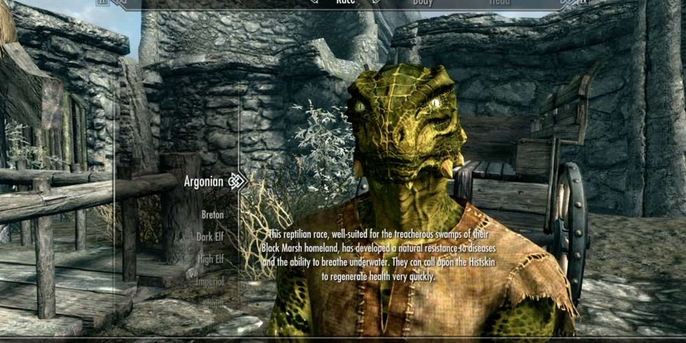 Skyrim Character Creation