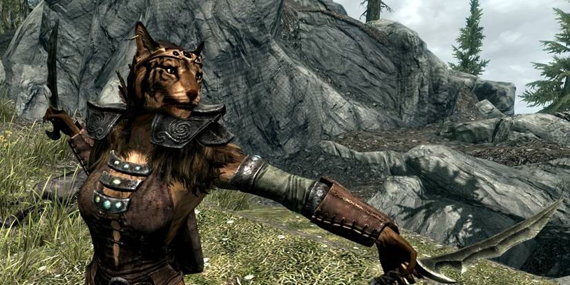 Khajiit dual wielding character in Skyrim