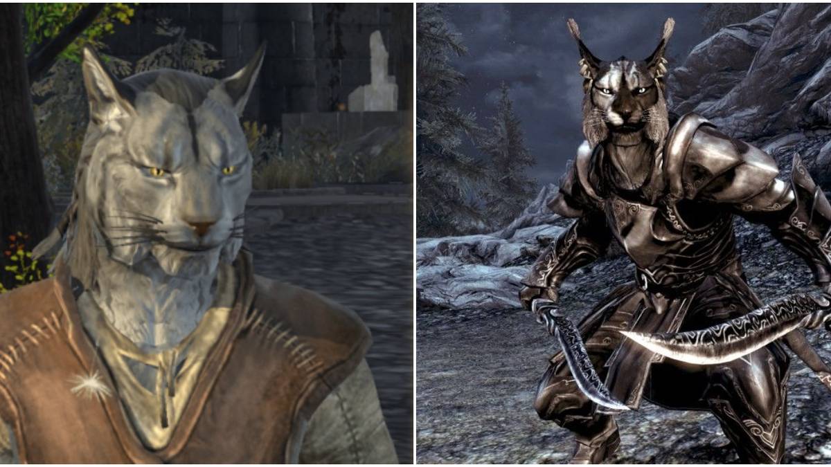 Yigit qizni yotgan joyida eshak bilan sikadi. Rus jinsi: poezd kupesida uchta yigit va bitta qiz