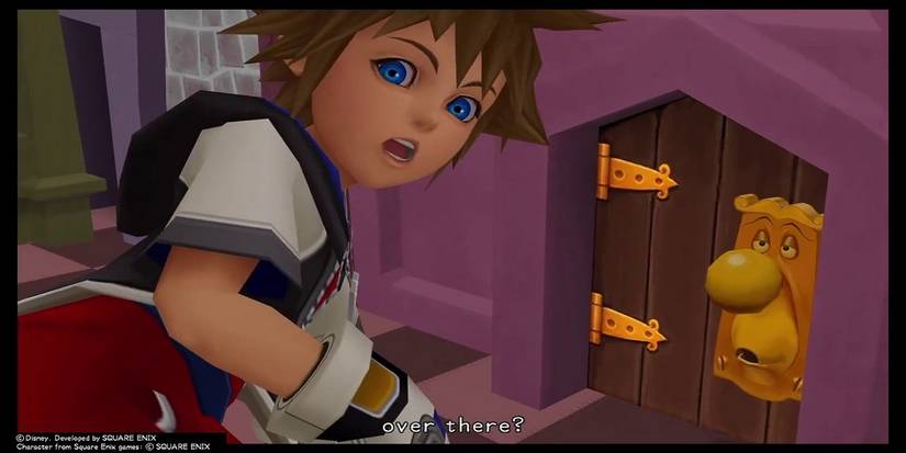 Sora and the door in Wonderland