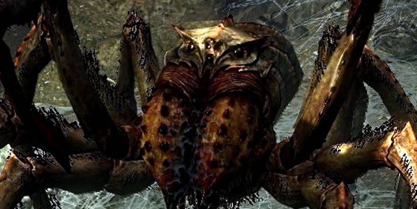 Spider Skyrim