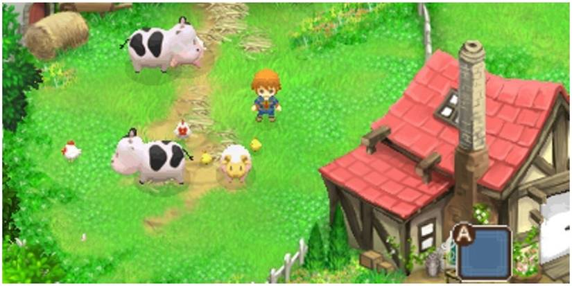 Story Of Seasons 3DS