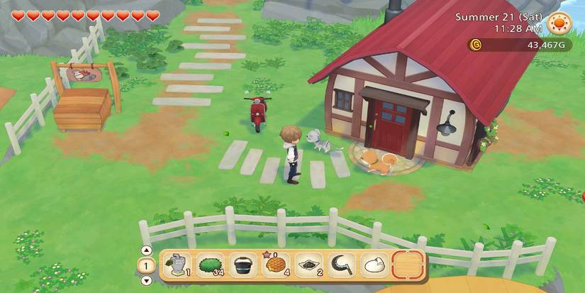 Story of Seasons Pioneers of Olive Town Tools Guide