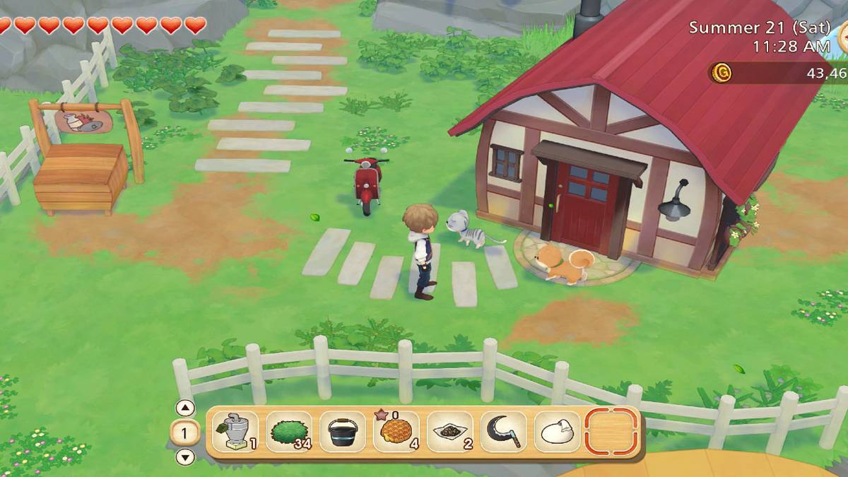 Story of Seasons Pioneers of Olive Town Tools Guide