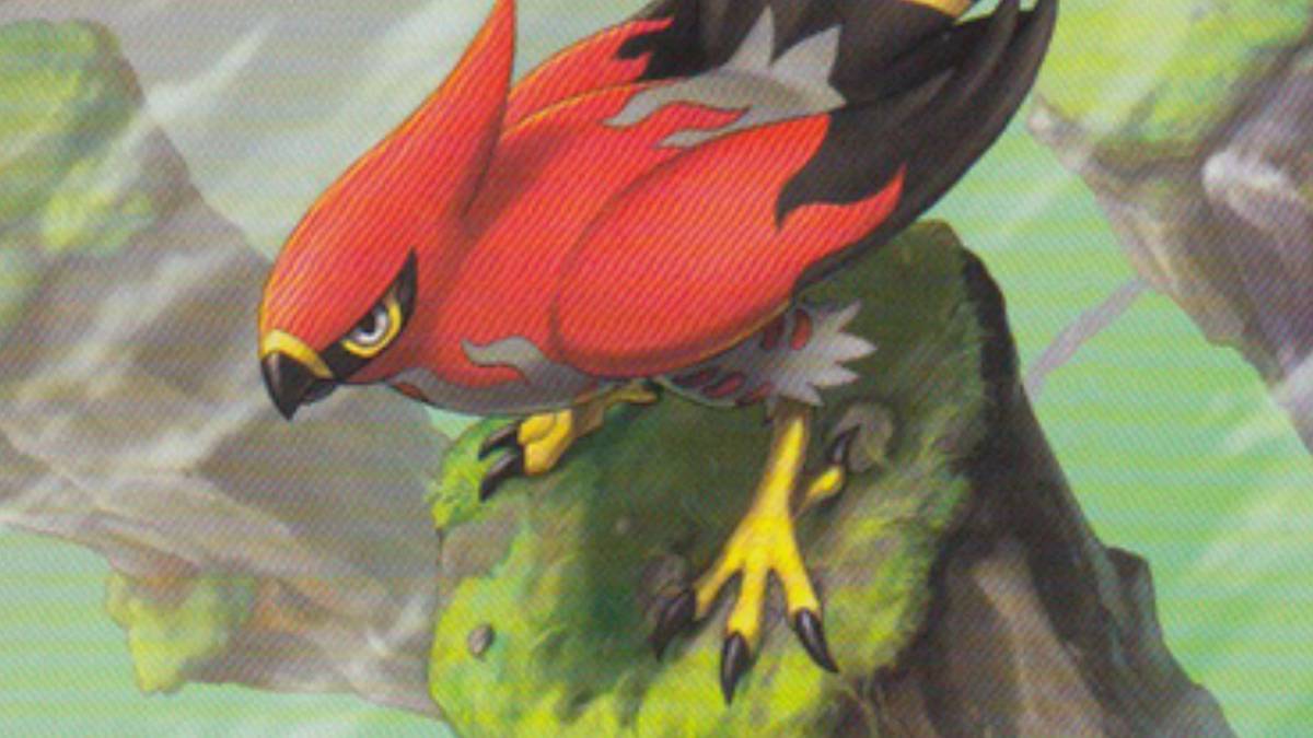 Pokemon GO Talonflame