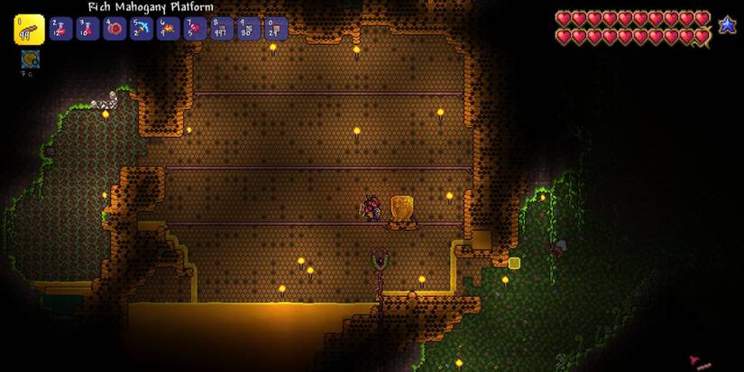 Terraria Larva