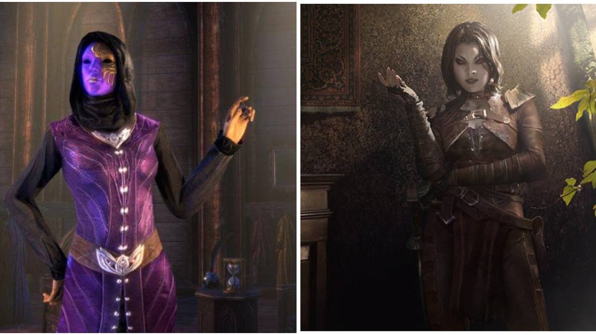 The Elder Scrolls LGBTQ cover