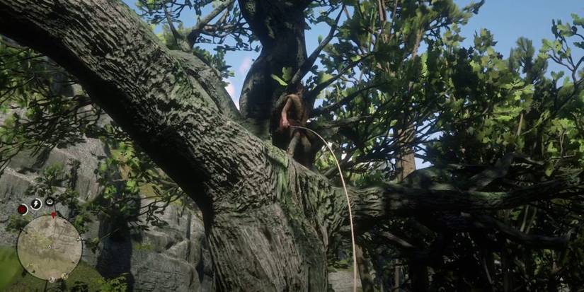 Tree Hermit King in Red Dead Redemption 2