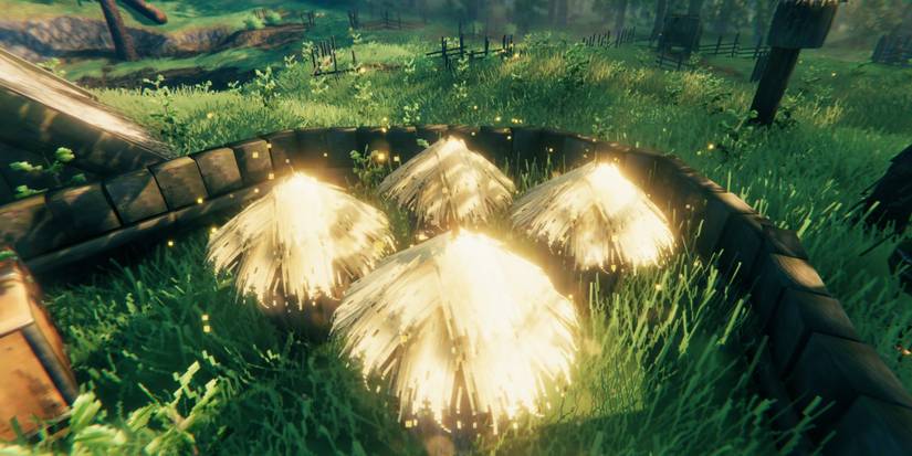 Domestication Farming Honey Bees Taming Valheim