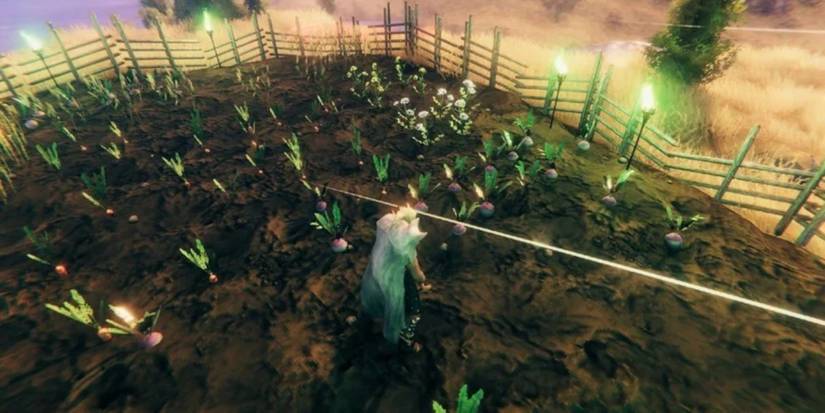 Domestication Farming Honey Bees Taming Valheim