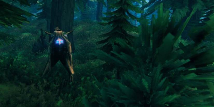 How to get Greydwarf Eyes in Valheim