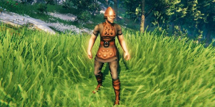 Armor Sets Valheim