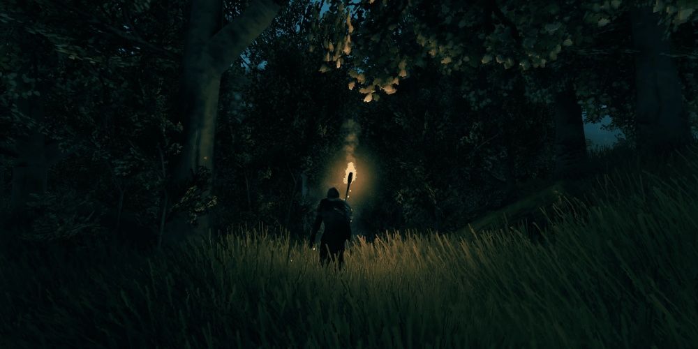 Valheim Hero Standing in the Forest at Night with Torch