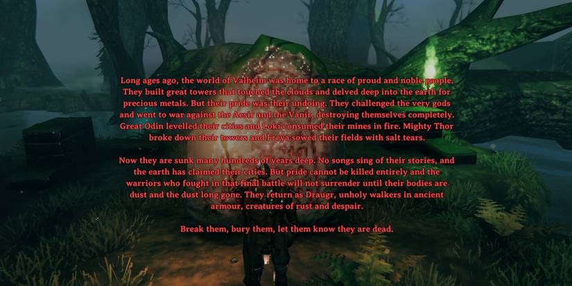 Runes Stones in Swamp Valheim