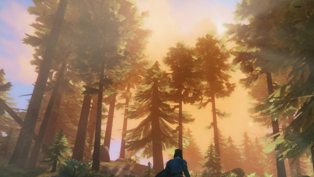 What are pine cones for in Valheim