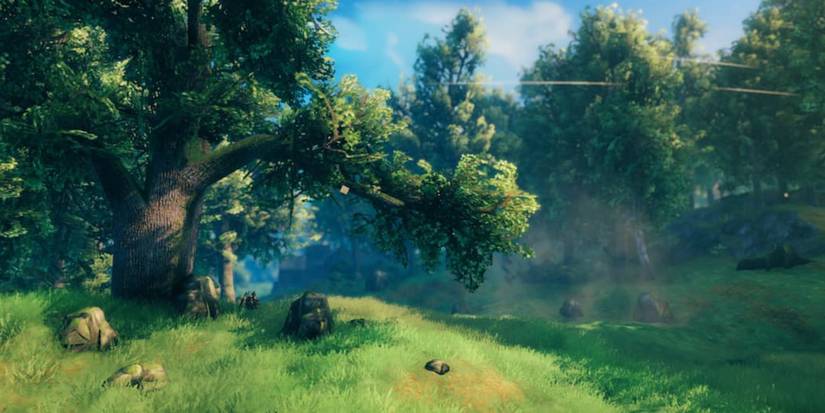 What are pine cones for in Valheim