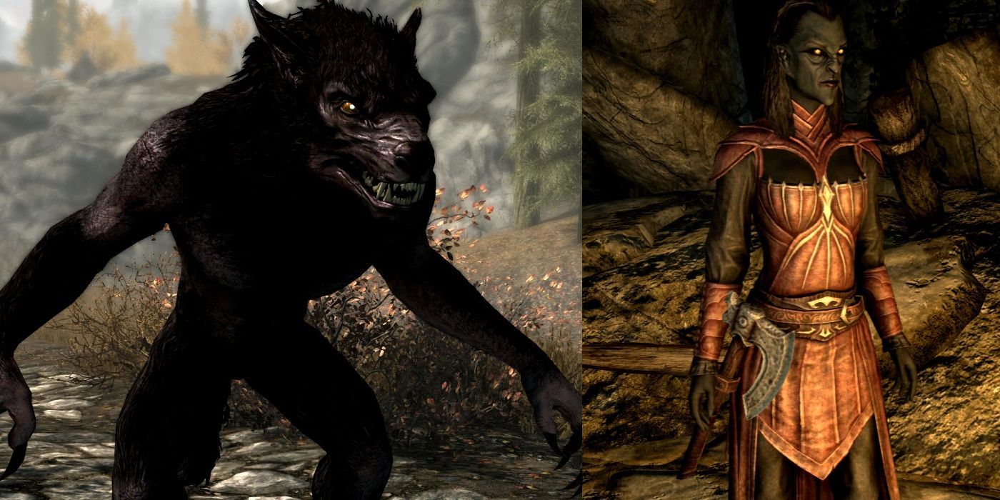Elder Scrolls Skyrim Side By Side Photo of a Werewolf and a Dark Elf Vampire