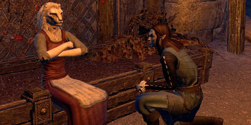 The Elder Scrolls LGBTQ Velsa and Narahni