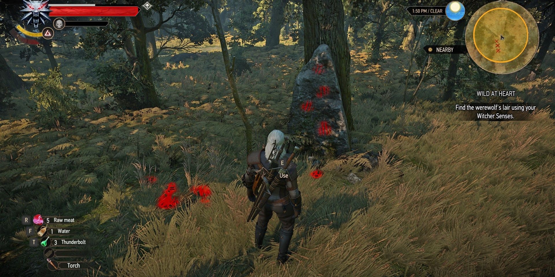 wild at heart witcher 3 outcomes