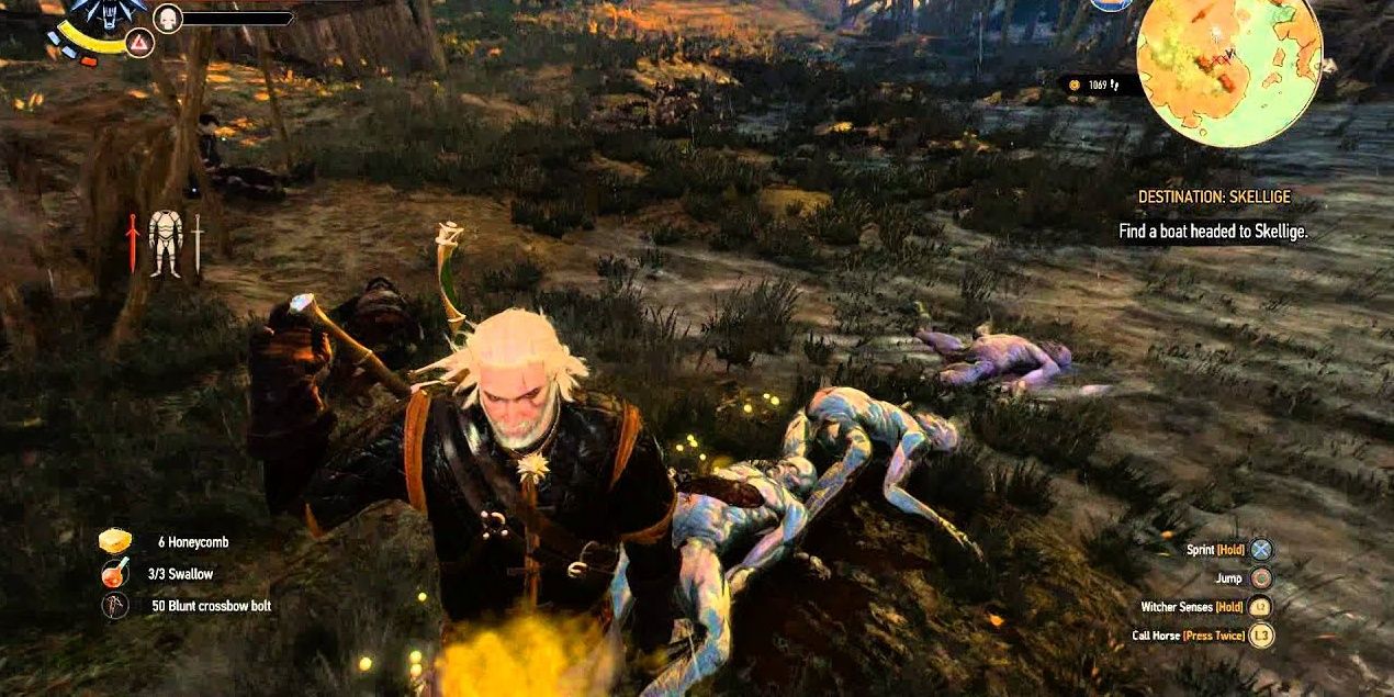 Witcher 3 Blood Gold