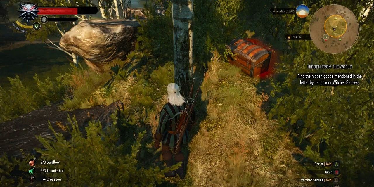 Witcher 3 Hidden from the World