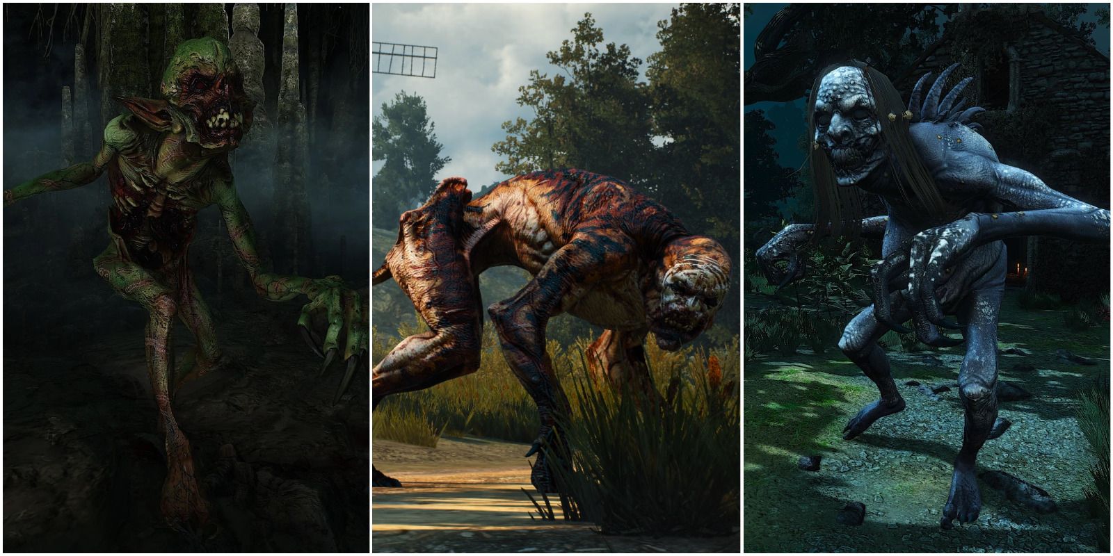 Foglet, Alghoul & Grave Hag From The Witcher 3