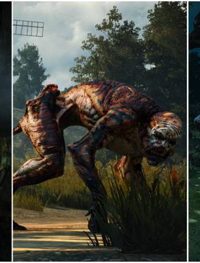 The Witcher Insectoids The Witcher 3: Every Type of Insectoid and How to Beat Them