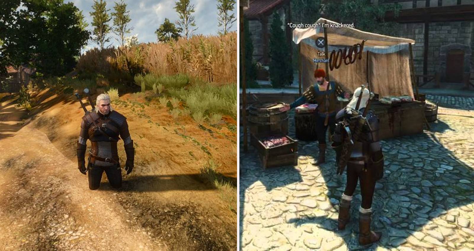 Witcher3GlitchHeader