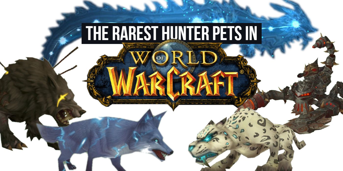 World Of Warcraft: Rarest Obtainable Hunter Pets