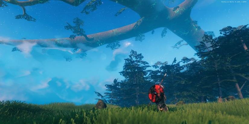Could This Be The Remnants Of Valheim's Connection To Yggdrasil