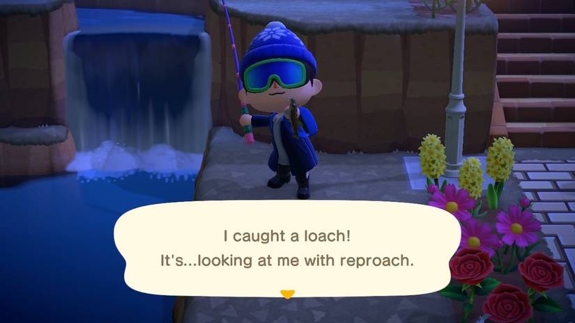 river fishing catch loach reproach