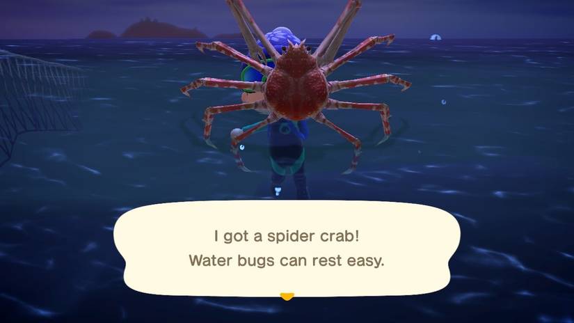 massive red crustacean diving snorkelling swimming