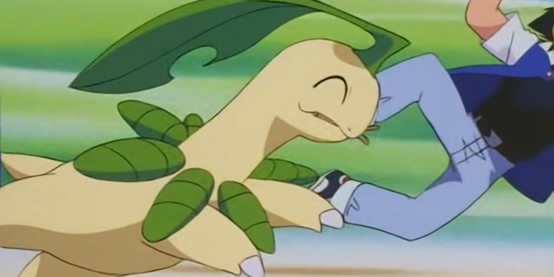 All Bayleef wanted was a little love, but Ash wasn't prepared to give it