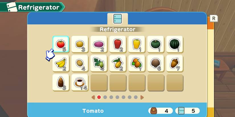 Harvest Moon One World Refrigerator User Interface