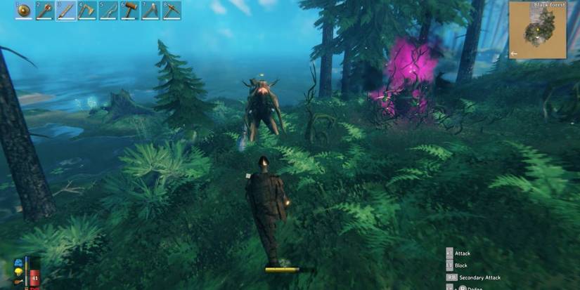 biomes in valheim