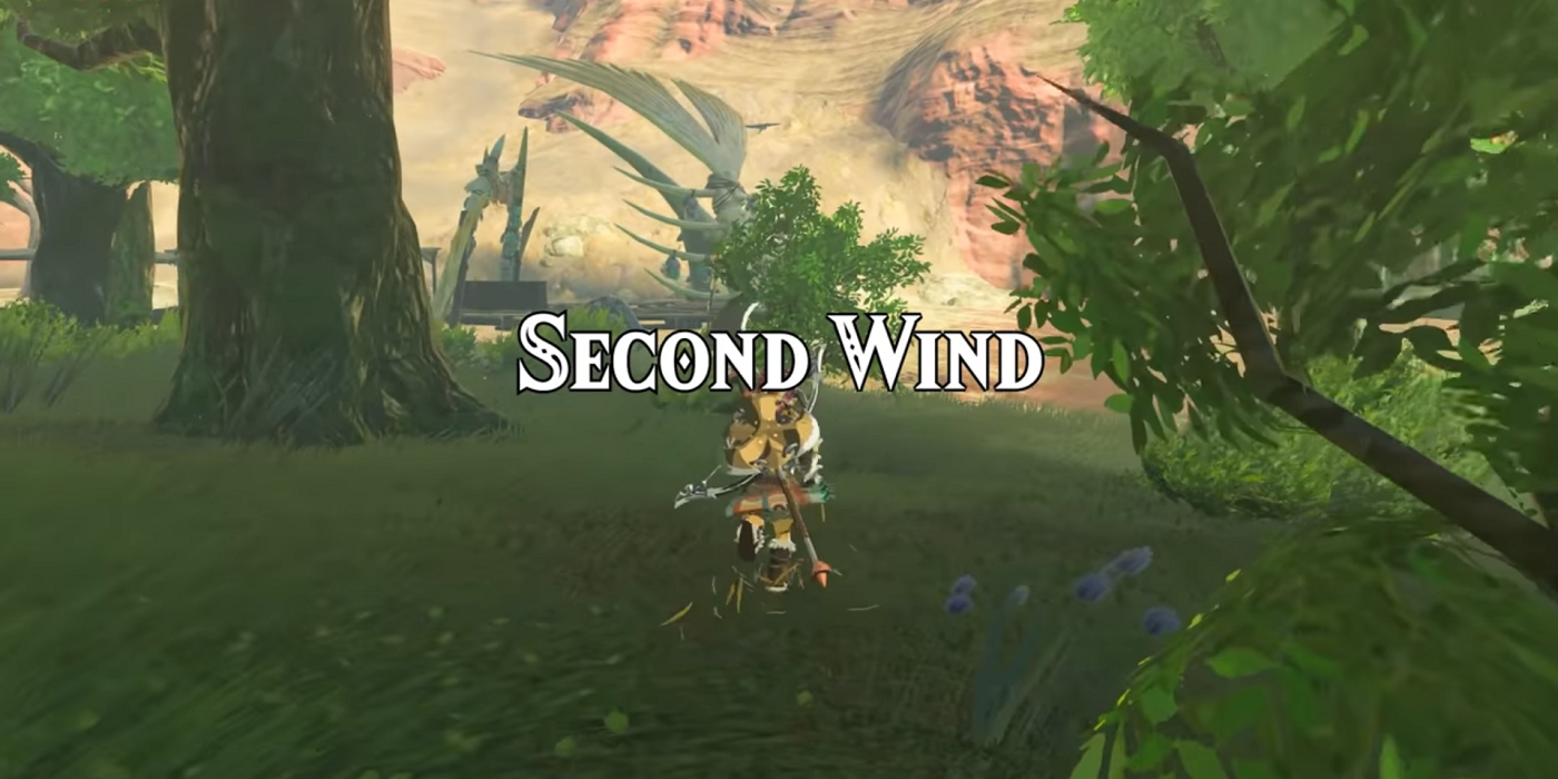 Breath of the Wild mod Second Wind is an ambitious, massive fan project -  Polygon