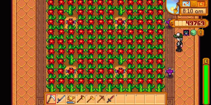 Stardew Valley 10 Best Crops To Grow In The Greenhouse Stardew Valley 10 Best Crops To Grow In The Greenhouse